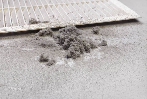 Best Ventilation Cleaning Services  in Hayneville, AL