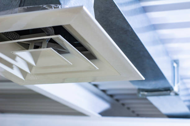 Best Commercial Air Duct Cleaning  in Hayneville, AL