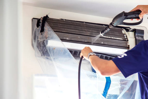 Best Air Vent Cleaning Services  in Hayneville, AL