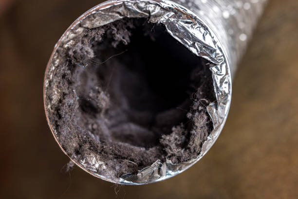 Best Ductwork Cleaning Services  in Hayneville, AL