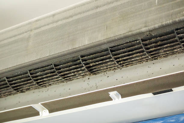 Best Air Duct Cleaning Company Near Me  in Hayneville, AL