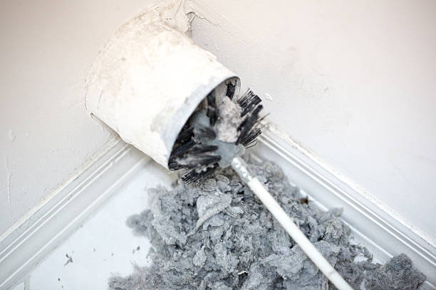 Best Air Duct Cleaning Near Me  in Hayneville, AL